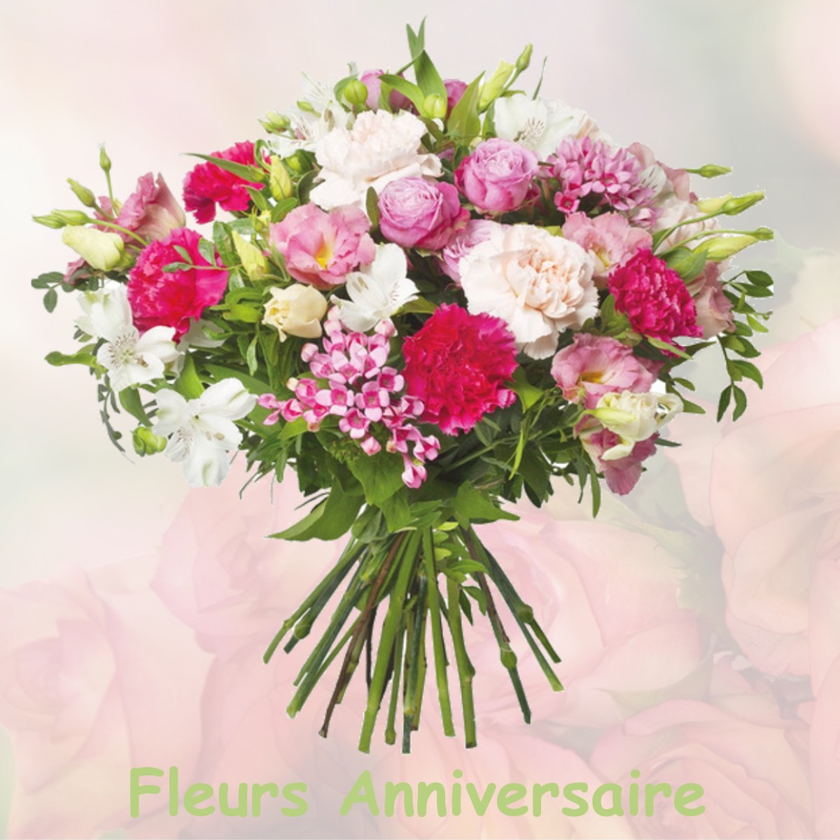 fleurs anniversaire NOGENT-LE-PHAYE
