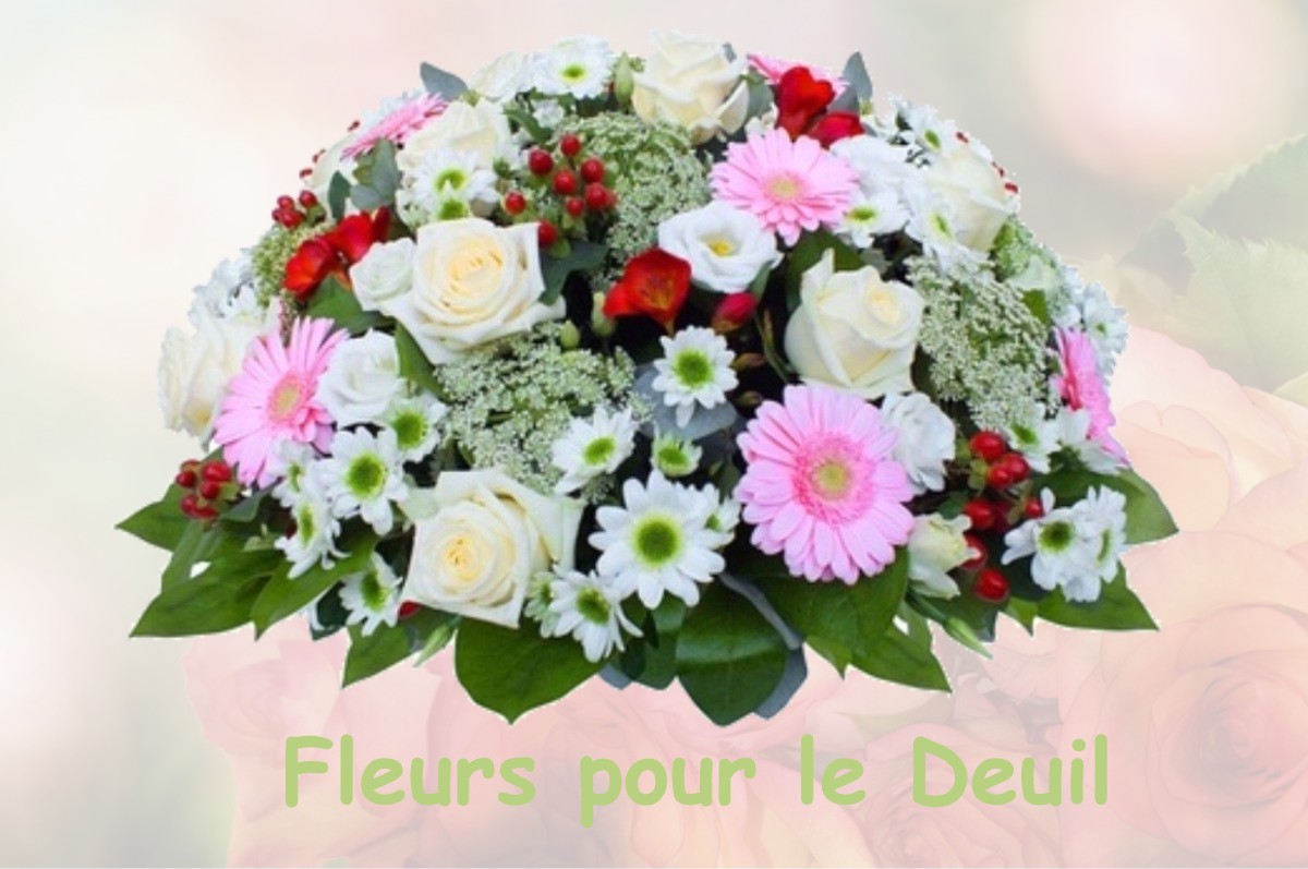 fleurs deuil NOGENT-LE-PHAYE